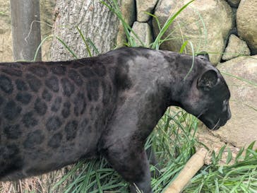 名古屋市東山動植物園に投稿された画像（2024/11/2）