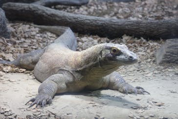 名古屋市東山動植物園に投稿された画像（2024/11/2）