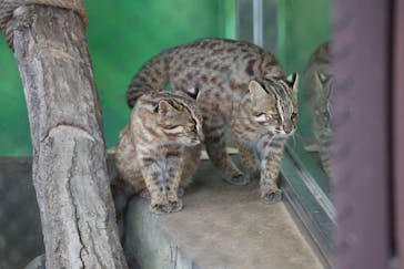 名古屋市東山動植物園に投稿された画像（2024/11/2）