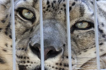 名古屋市東山動植物園に投稿された画像（2024/11/2）