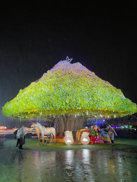 東京メガイルミに投稿された画像（2024/11/2）