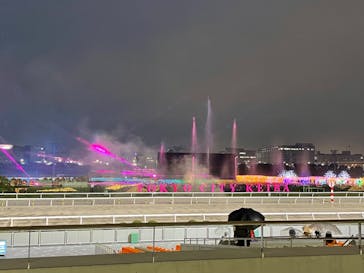 東京メガイルミに投稿された画像（2024/11/2）