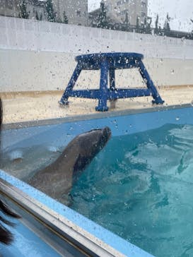竹島水族館に投稿された画像（2024/11/2）