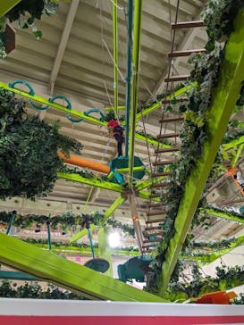 おやつタウンに投稿された画像（2024/11/2）