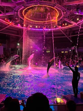 マクセル アクアパーク品川に投稿された画像（2024/11/2）