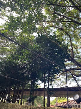 体験王国 むら咲むらに投稿された画像（2024/11/2）