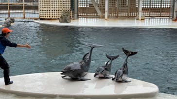 城崎マリンワールドに投稿された画像（2024/11/2）