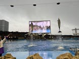 名古屋港水族館に投稿された画像（2024/11/2）