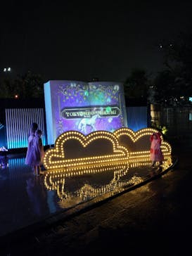 東京メガイルミに投稿された画像（2024/11/2）