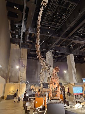 福井県立恐竜博物館に投稿された画像（2024/11/2）