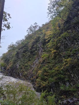 清津峡渓谷トンネルに投稿された画像（2024/11/2）
