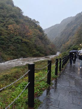 清津峡渓谷トンネルに投稿された画像（2024/11/2）