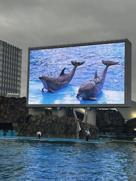 名古屋港水族館に投稿された画像（2024/11/2）
