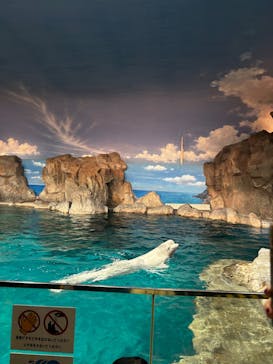 名古屋港水族館に投稿された画像（2024/11/2）