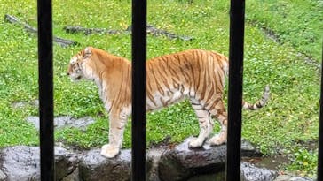 那須サファリパークに投稿された画像（2024/11/2）