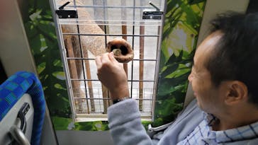 那須サファリパークに投稿された画像（2024/11/2）