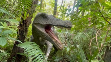 御菓子御殿　名護店　やんばる亜熱帯の森DINO恐竜PARKに投稿された画像（2024/11/2）