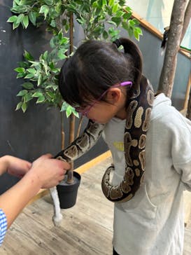 Moff animal cafe iias つくば店に投稿された画像（2024/11/2）