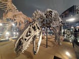 福井県立恐竜博物館に投稿された画像（2024/11/2）