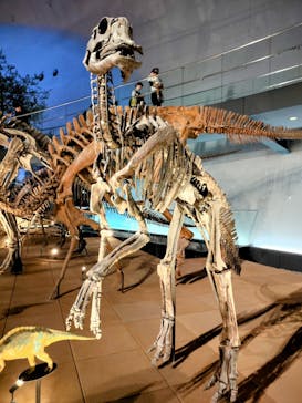 福井県立恐竜博物館に投稿された画像（2024/11/2）