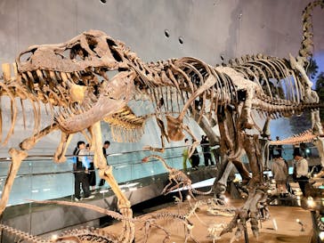 福井県立恐竜博物館に投稿された画像（2024/11/2）