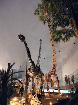 福井県立恐竜博物館に投稿された画像（2024/11/2）