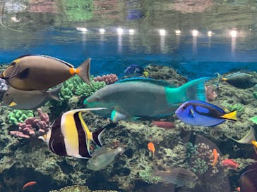 鴨川シーワールドに投稿された画像（2024/11/2）