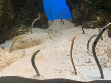 鴨川シーワールドに投稿された画像（2024/11/2）