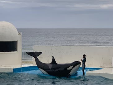 鴨川シーワールドに投稿された画像（2024/11/2）