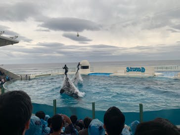 鴨川シーワールドに投稿された画像（2024/11/2）