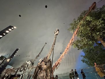 福井県立恐竜博物館に投稿された画像（2024/11/2）