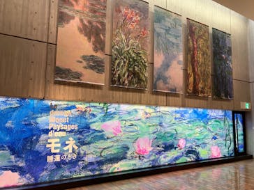 モネ 睡蓮のとき（国立西洋美術館）に投稿された画像（2024/11/2）