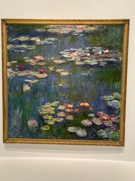 モネ 睡蓮のとき（国立西洋美術館）に投稿された画像（2024/11/2）
