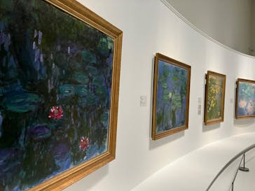 モネ 睡蓮のとき（国立西洋美術館）に投稿された画像（2024/11/2）