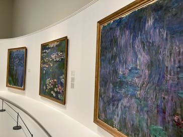 モネ 睡蓮のとき（国立西洋美術館）に投稿された画像（2024/11/2）