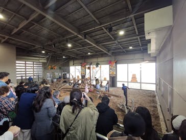 のぼりべつクマ牧場に投稿された画像（2024/11/2）