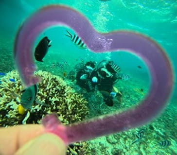 青の洞窟専門店　沖縄ダイビングショップ和に投稿された画像（2024/11/3）