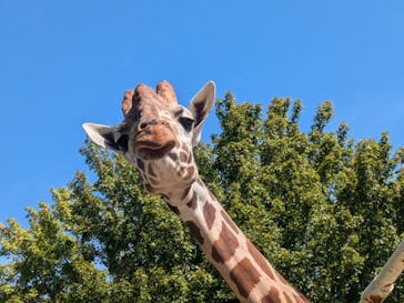 九十九島動植物園森きららに投稿された画像（2024/11/3）