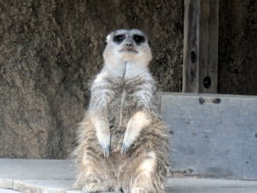 九十九島動植物園森きららに投稿された画像（2024/11/3）