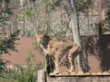 九十九島動植物園森きららに投稿された画像（2024/11/3）