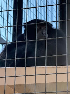 名古屋市東山動植物園に投稿された画像（2024/11/3）