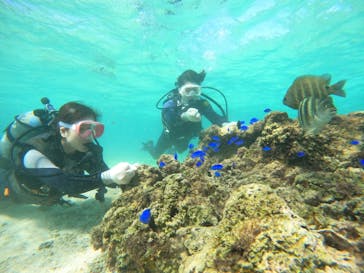 武藤潜水に投稿された画像（2024/11/3）