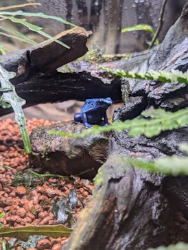 AQUARIUM × ART　atoaに投稿された画像（2024/11/3）