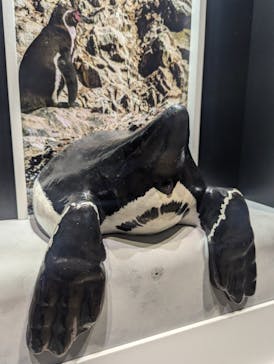 AQUARIUM × ART　atoaに投稿された画像（2024/11/3）