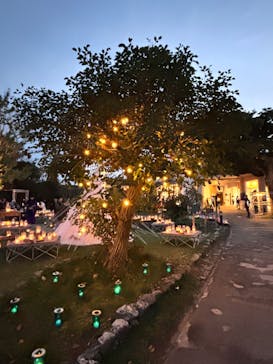 江の島シーキャンドルに投稿された画像（2024/11/3）