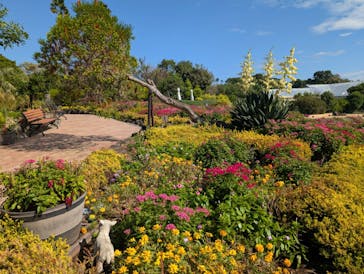 ニューヨークランプミュージアム＆フラワーガーデンに投稿された画像（2024/11/3）