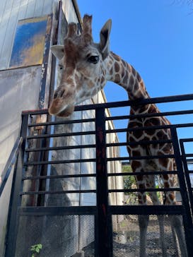 宇都宮動物園に投稿された画像（2024/11/3）