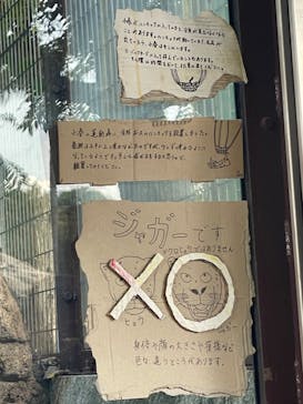 天王寺動物園に投稿された画像（2024/11/3）