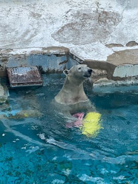 天王寺動物園に投稿された画像（2024/11/3）