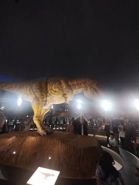福井県立恐竜博物館に投稿された画像（2024/11/3）